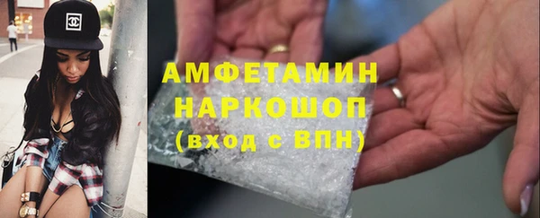 молекула духа Новозыбков