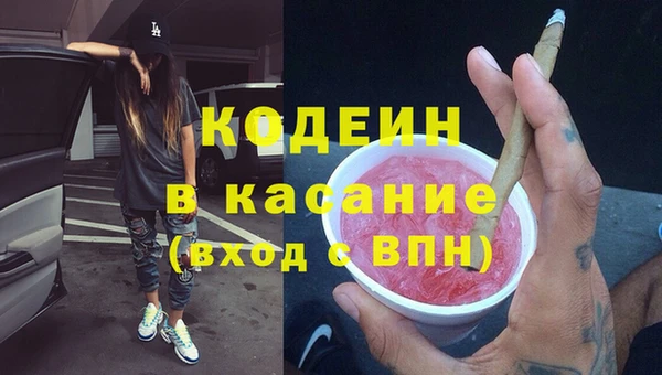 соль ск Нея