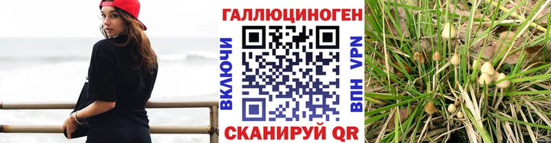 omg маркетплейс Облучье Галлюциногенные грибы MAGIC MUSHROOMS